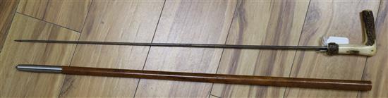 An early 20th century malacca and stag horn handled sword stick